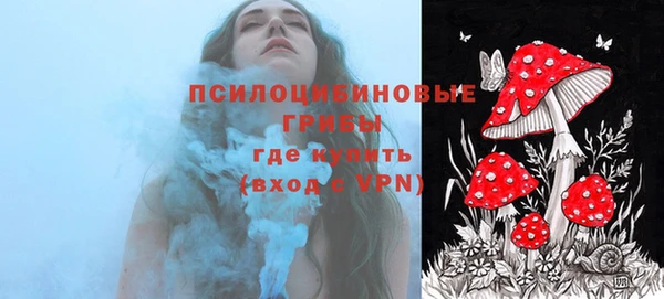 apvp Балахна
