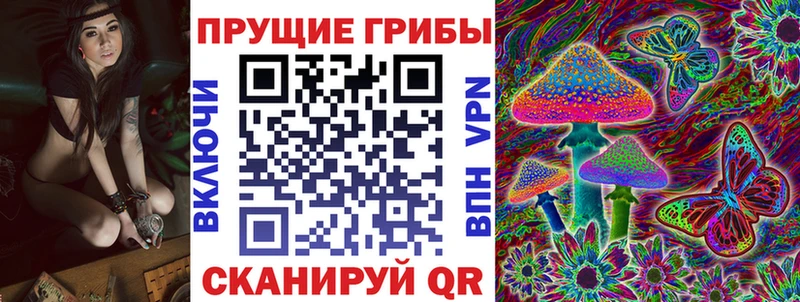 Псилоцибиновые грибы мицелий  Губаха 