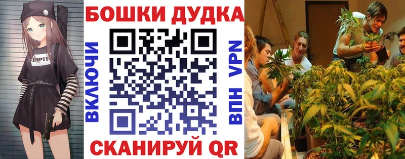 Канабис OG Kush  Губаха 